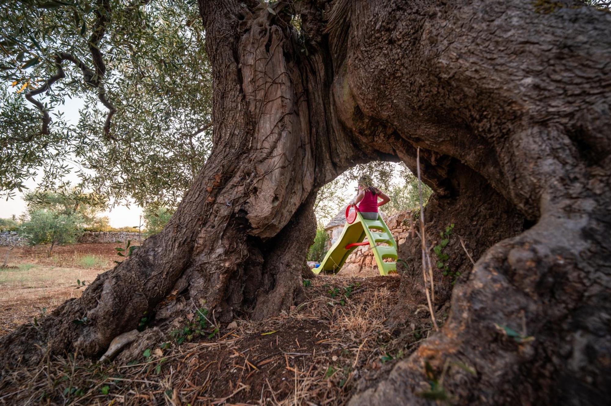 Il Trullo Della Rondinina Villa Alberobello Eksteriør bilde